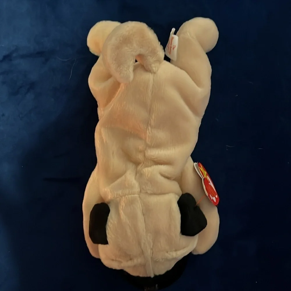 Ty Beanie Baby Pugsly
